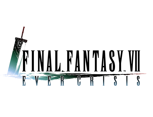 Logo ffviiec tm